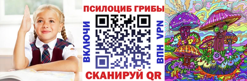 Купить  Кировград  Галлюциногенные грибы Psilocybe 